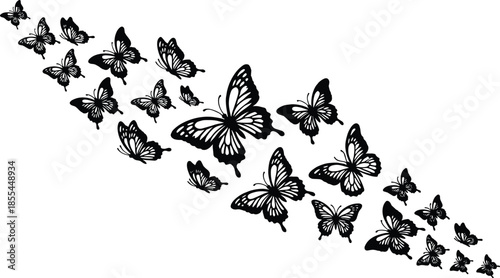 “Elegant butterfly silhouettes arranged in a dynamic flying formation, detailed black vector design perfect for nature artwork, decoration, patterns, and creative projects.”