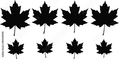 Collection of maple leaf silhouettes in various sizes, perfect for nature design, autumn decoration, botanical illustration, Canadian symbol graphics, and creative artwork