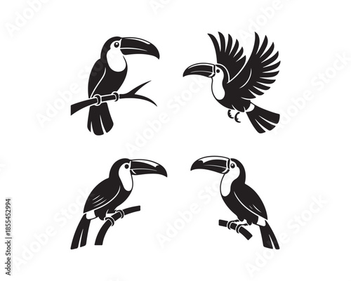 Toucans silhouettes, toucan on tree, toucan flying with wings, Flying toucan vector silhouette illustration set collection, toucan silhouette, toucans silhouettes, toucan bird, flying toucan