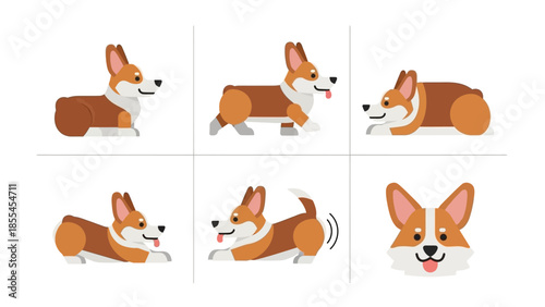 Adorable Corgi dog character in a set of six different poses and expressions, including standing, walking, lying, stretching, wagging its tail, and a happy face close-up.