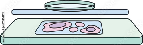 illustration of a modern kitchen stove with a pot on top and a ceramic cooktop