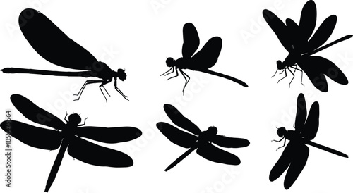 Dragonfly silhouette collection, flying insect icons showing multiple poses, nature wildlife illustration isolated on white background for graphic design use