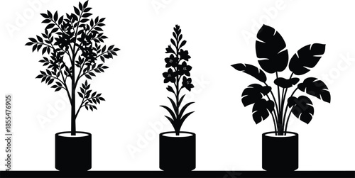 Potted plant silhouettes collection with indoor houseplants, botanical decor illustration isolated on white background for modern interior design projects