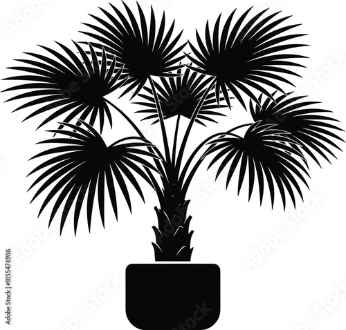 Potted palm plant silhouette illustration, tropical indoor houseplant decor isolated on white background for modern interior graphic design projects