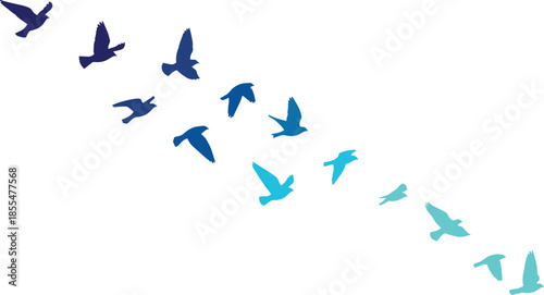 Flying birds silhouette illustration with blue gradient colors, freedom concept, nature wildlife background, abstract flock motion, minimal design artwork