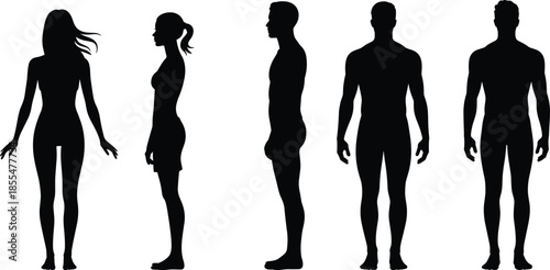 Full body standing human silhouettes, male and female figures in front and profile view for anatomy, health, and fitness vector graphics