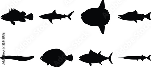 Fish silhouettes icon set, aquatic marine species shapes, black vector collection, ocean wildlife design, underwater animals illustration, isolated white background