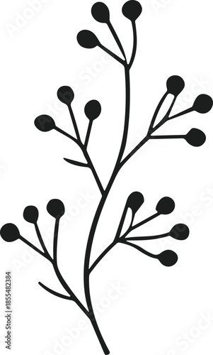 Black silhouette of a delicate twig with round berries on a white background branch