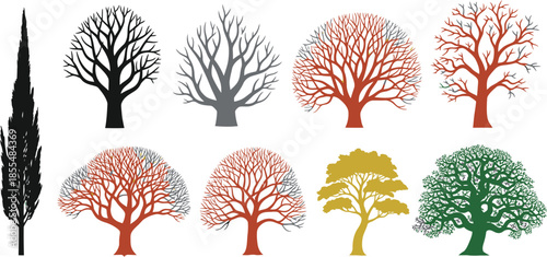 Stylized Seasonal Tree Icons for Botanical Studies, Eco-Friendly Branding, and Nature-Inspired Graphic Design Projects