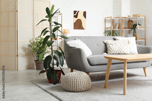 Foto Modern interior of living room with grey sofa and ficus plant