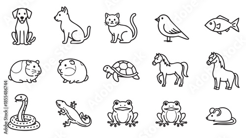 Cute handdrawn collection of animals and pets line icons set