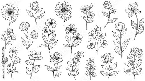 Collection of black and white hand-drawn flowers and leaves on white background