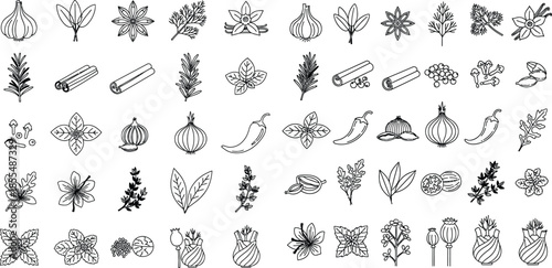 Line art culinary herbs and spices collection for recipe design with minimalist outlines