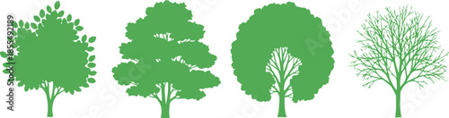 Stylized Green Tree Set with Varied Canopy and Branching – Botanical Diversity for Seasonal and Species Design