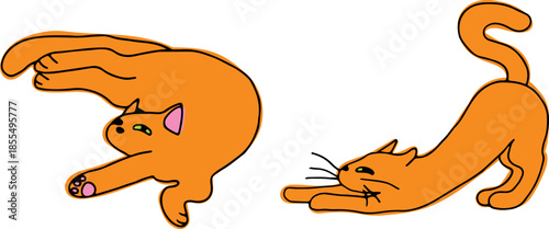 A set of cute funny ginger cats stretching and lying in an unusual pose, drawn with crooked grunge lines