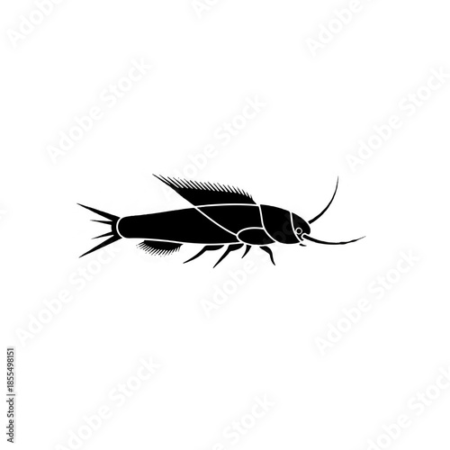 Black Insect Silhouette on White Background