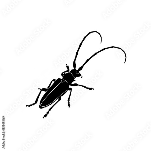 Detailed Silhouette Drawing of a Longhorn Beetle