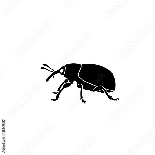 Stylized Black Weevil Insect Pest Graphic Vector