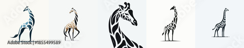 GIRAFFE VECTOR WHITE BACKGROUND