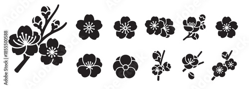 Plum Blossom Icon Set Black Vector for Decorations 