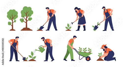Flat vector illustration set showing the stages of growing a tree, with male and female gardeners digging soil, planting saplings, and watering plants.