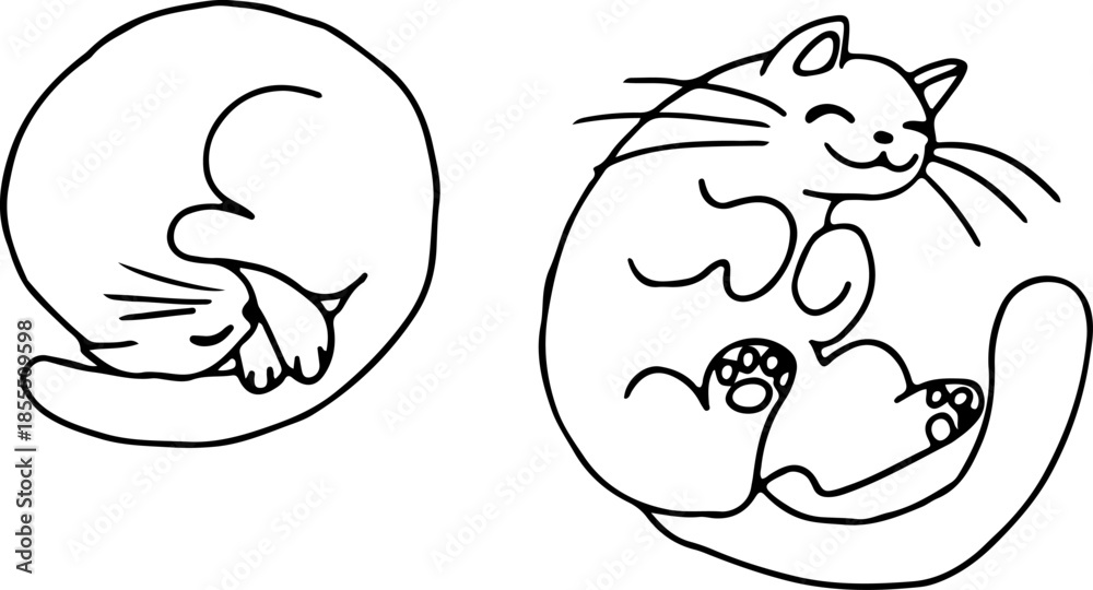 Fototapeta premium Sleeping cat curled up in a ball, the cat lies on its back and shows its belly, drawn with crooked grunge lines