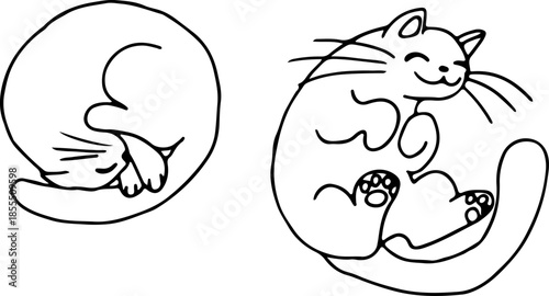 Sleeping cat curled up in a ball, the cat lies on its back and shows its belly, drawn with crooked grunge lines