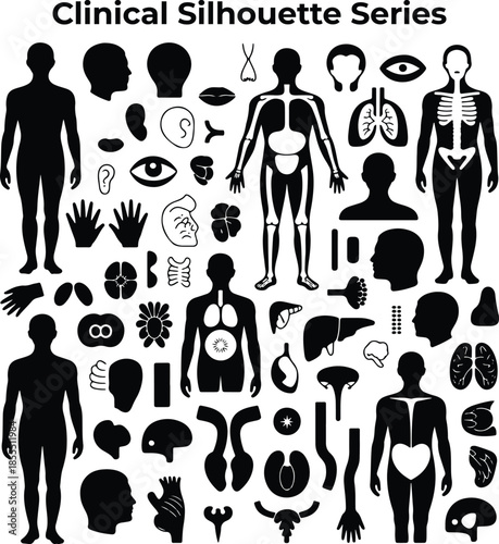 Comprehensive Clinical Human Anatomy Silhouettes Medical Education Graphics Collection