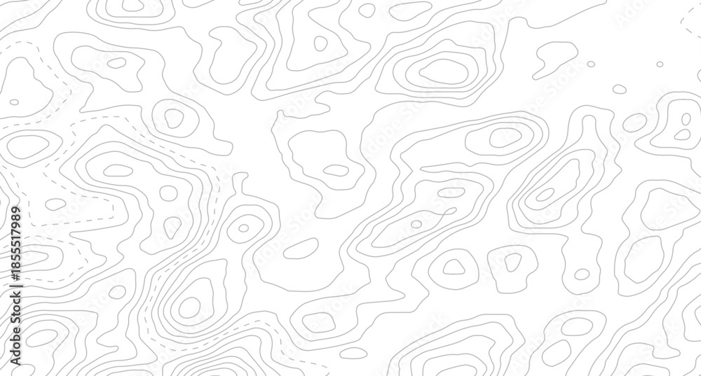 Fototapeta premium Topography background. Vector banner. Topography map background. Topographic map background. geographic line map with elevation assignments.