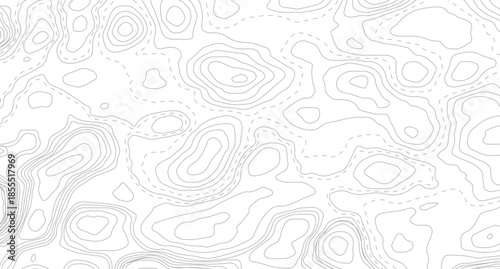 Topography background. Vector banner. Topography map background. Topographic map background. geographic line map with elevation assignments.