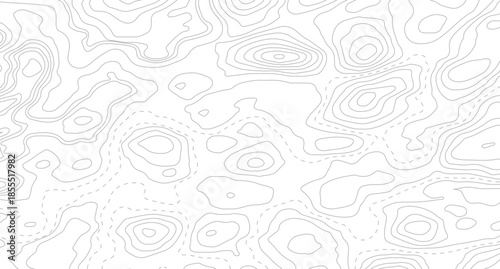 Topography background. Vector banner. Topography map background. Topographic map background. geographic line map with elevation assignments.