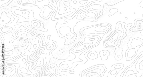 Topography background. Vector banner. Topography map background. Topographic map background. geographic line map with elevation assignments.