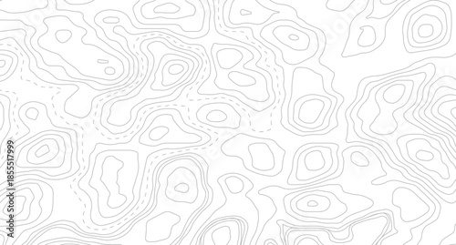 Topography background. Vector banner. Topography map background. Topographic map background. geographic line map with elevation assignments.