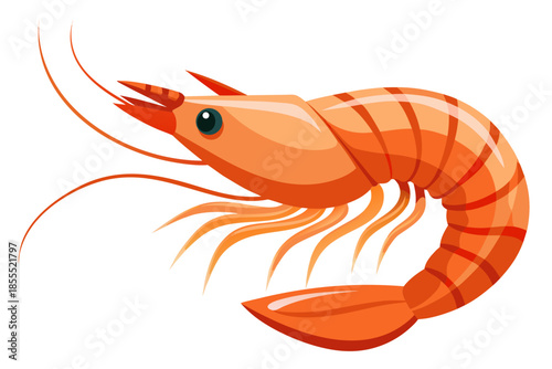 vector illustration of a cartoon fish