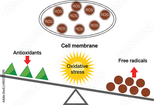 Illustration showing carbon footprint balance concept with afforestation and deforestation comparison for environmental awareness and sustainability education