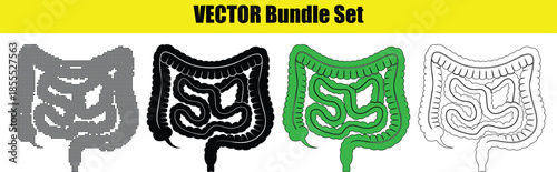 Human intestinal system illustrations in different styles