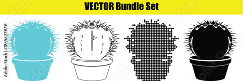 Illustrations of cactus plants in different styles