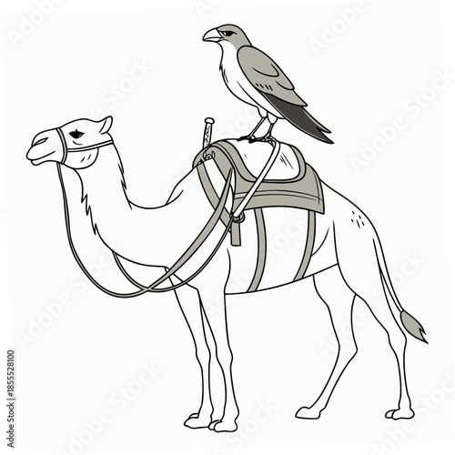 Bird sitting on camel saddle animal wildlife