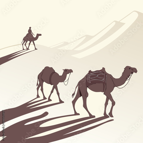 Camels walking in desert with long shadows sand