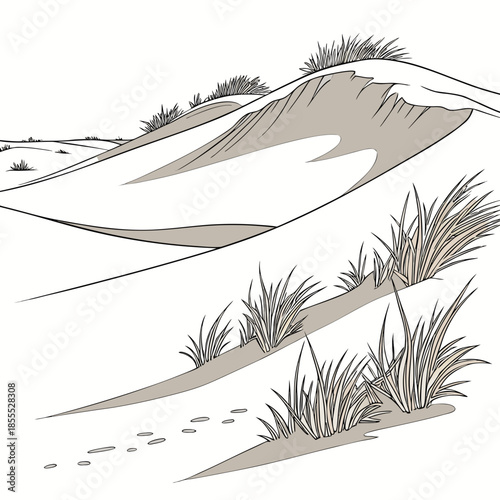 Sand dunes with patches of grass and footprints in the sand