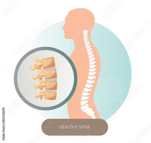 Good Posture - Healthy Spine - Stock Illustration