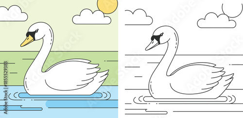 Cute white swan swimming in the pond vector illustration. Coloring book page design for kids with colored example and outline. Nature scene with water and sun.