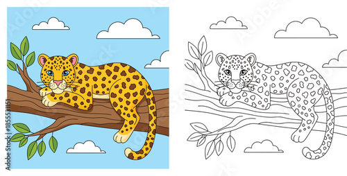 Cute cartoon leopard lying on a tree branch. Coloring book page for kids with colored example and outline. Vector illustration of a wild animal in nature.