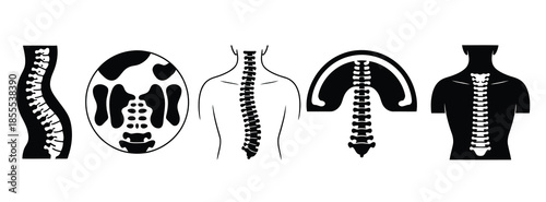Five stylized black and white illustrations of human spines and torsos, showing spinal column, vertebrae details, anatomical structure, medical diagram, and educational vector design.