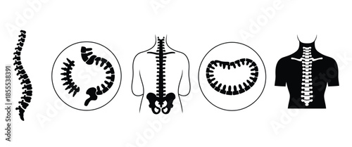 Five black and white stylized illustrations of human spinal columns and torsos, highlighting vertebrae, skeletal anatomy, posture study, medical reference, and vector educational template.