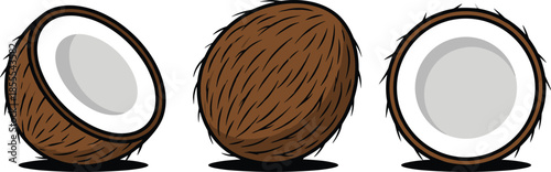 Three Cartoon Coconuts One Whole and Two Halves on White Background Keywords: coconut, tropical, fruit, whole, half, cut, brown