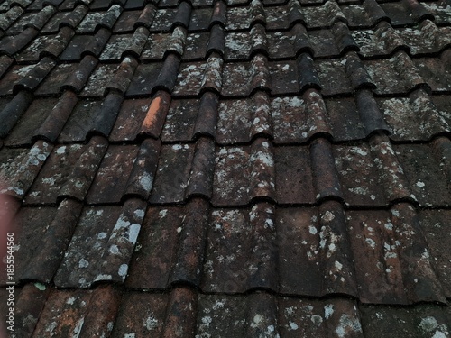 High-angle close-up of traditional dark clay roof tiles showing signs of aging with visible green moss, white lichen, and weathered textures.