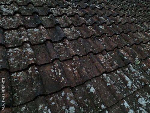 High-angle close-up of traditional dark clay roof tiles showing signs of aging with visible green moss, white lichen, and weathered textures.