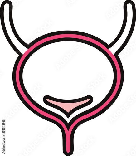 A vector icon of the human urinary bladder. Line art icon