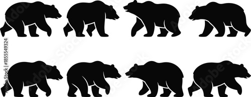 Walking bear silhouettes set, wildlife animal poses collection, black mammal icons isolated on white background vector illustration graphic design elements